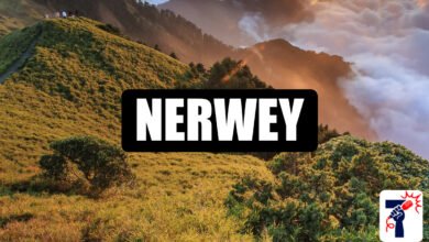 Nerwey
