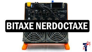 Bitaxe NerdOctaxe