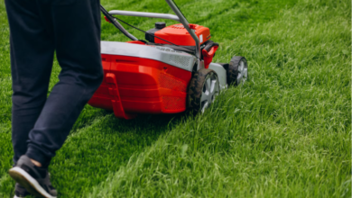 How To Schedule Local Lawn Maintenance Programs For Year-Round Care