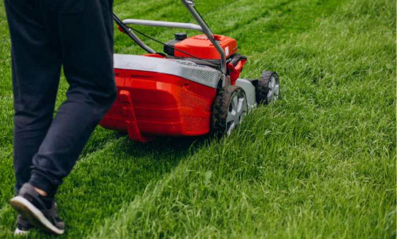 How To Schedule Local Lawn Maintenance Programs For Year-Round Care