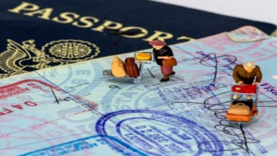 The Role of Fake Italian Passports in Film and Digital Verification