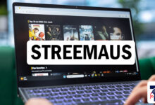 Streemaus