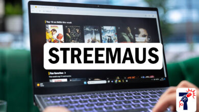 Streemaus