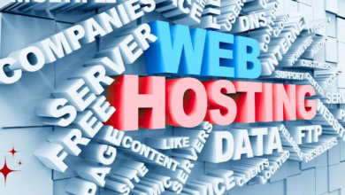 Cheap PBN Hosting