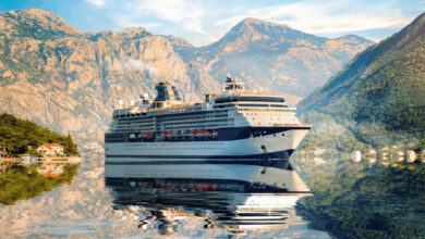Cruises